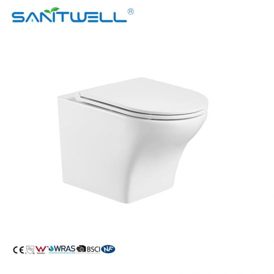 wall mounted toilet