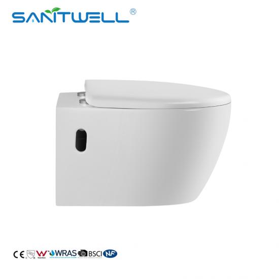 wall mounted toilet