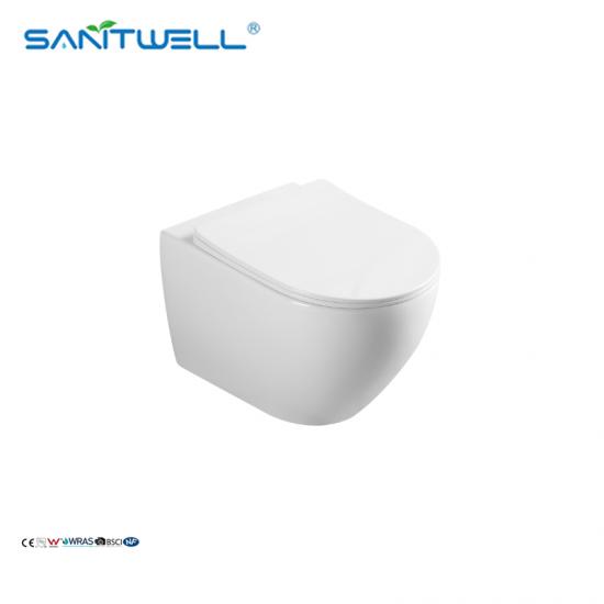 wall mounted toilet