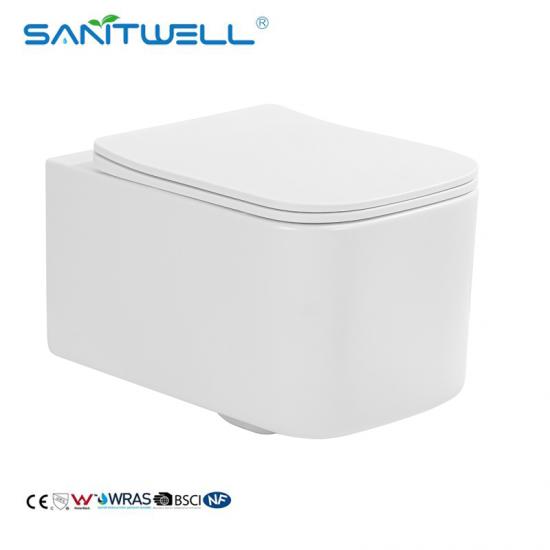 wall hung toilet