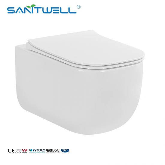 wall hung toilet