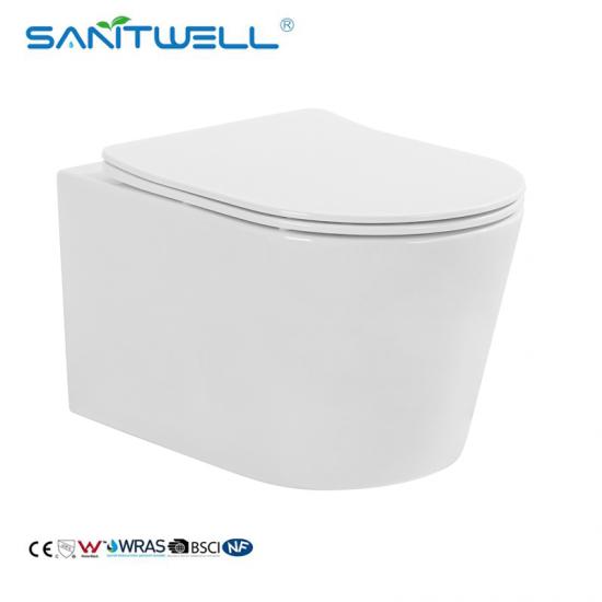 wall hung toilet