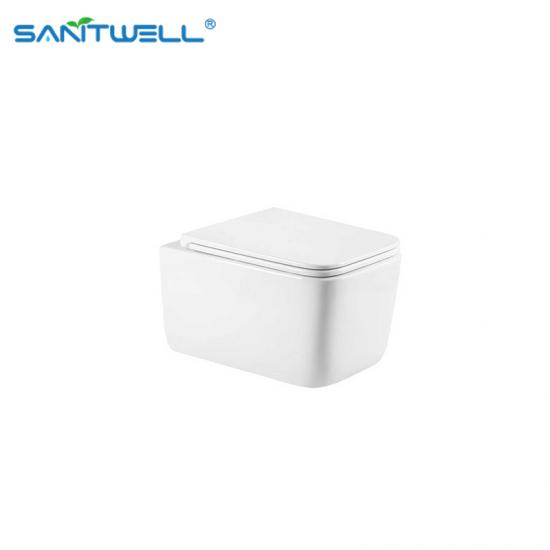 wall hung toilet